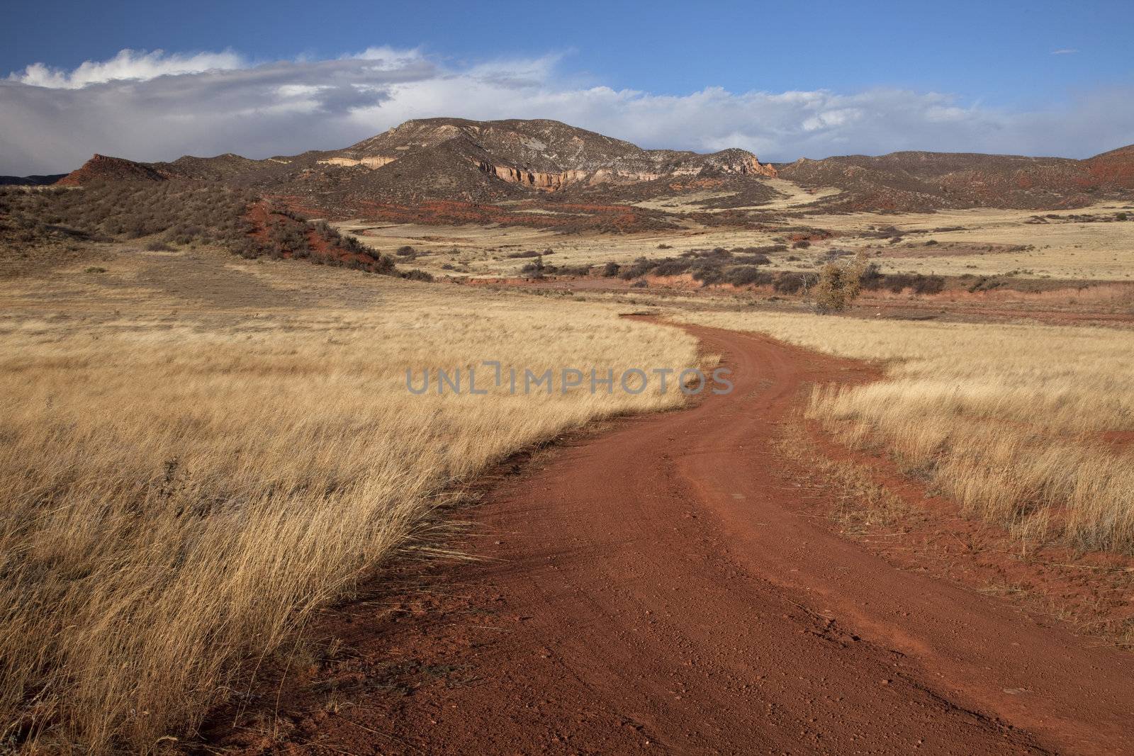 windy road in Red Mountain Open Space in northern Colorado (Larimer County), fall scenery with dry grass moved by wind