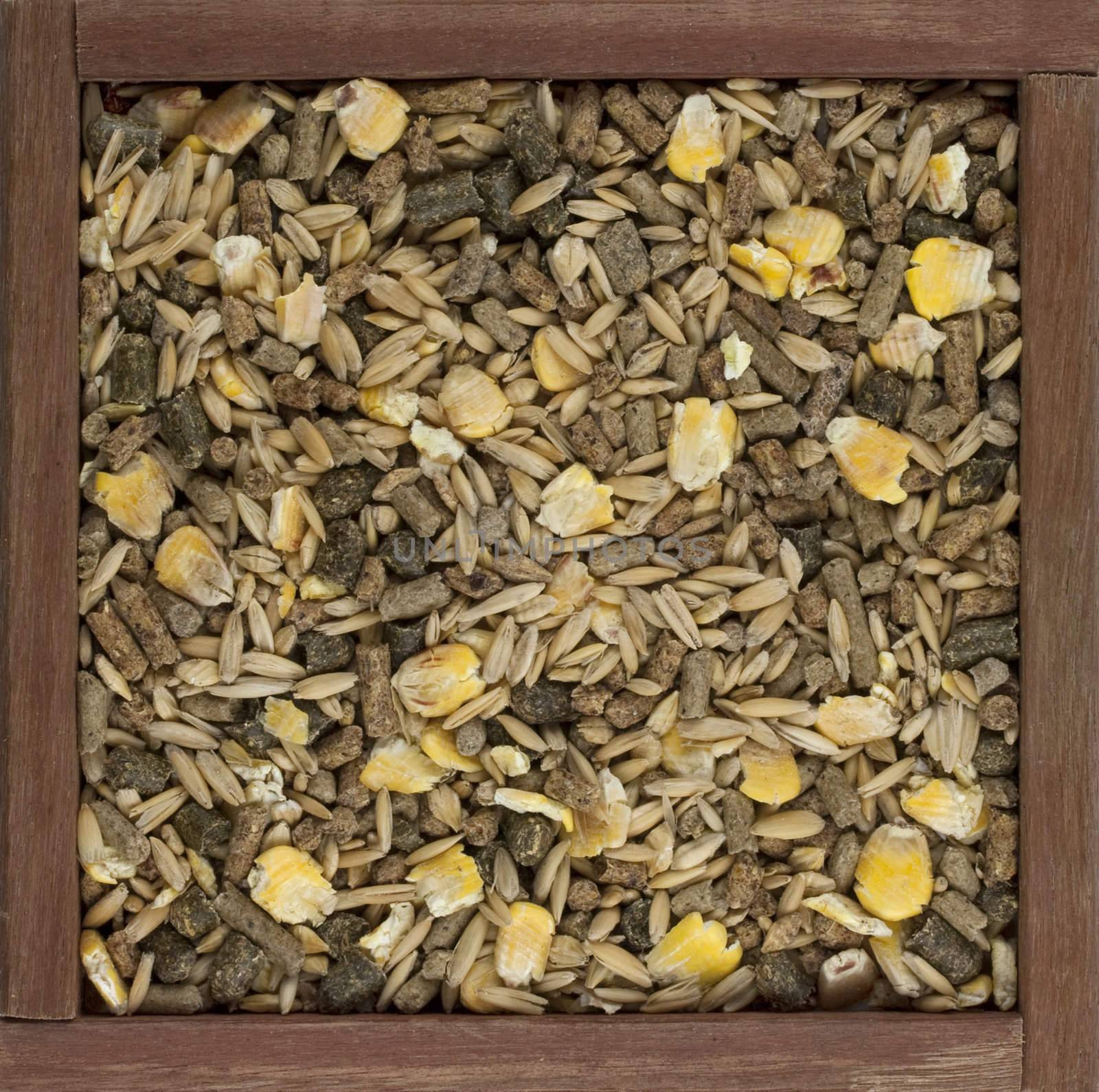 horse feed with corn, barley, oats grain and suplement granulates in  a rustic wooden box