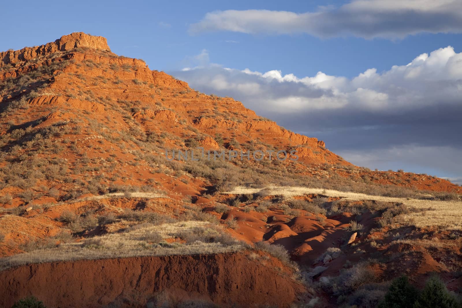 eroded red mountain with sparse vegetation by PixelsAway