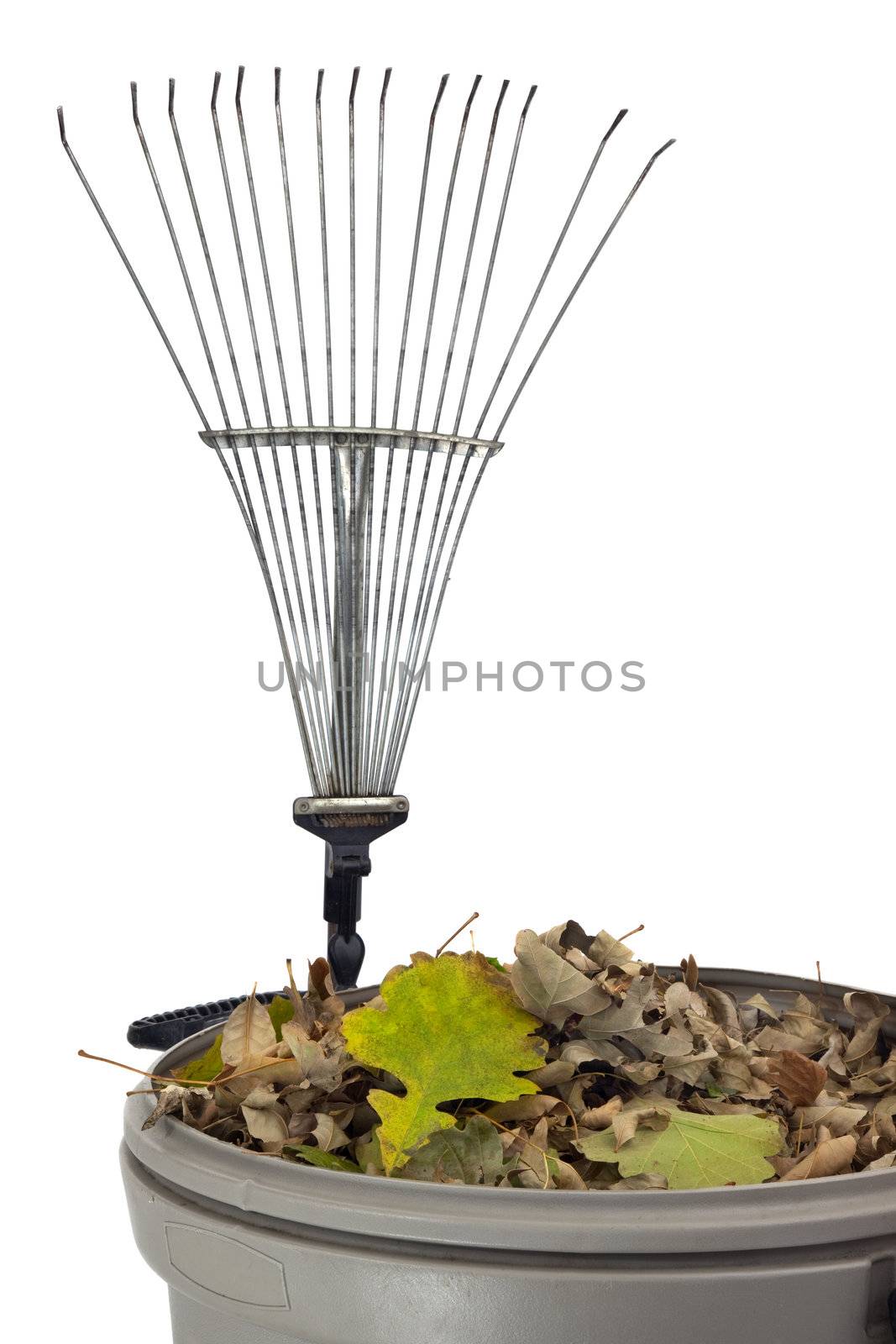 trash bin, dry leaves and rake by PixelsAway