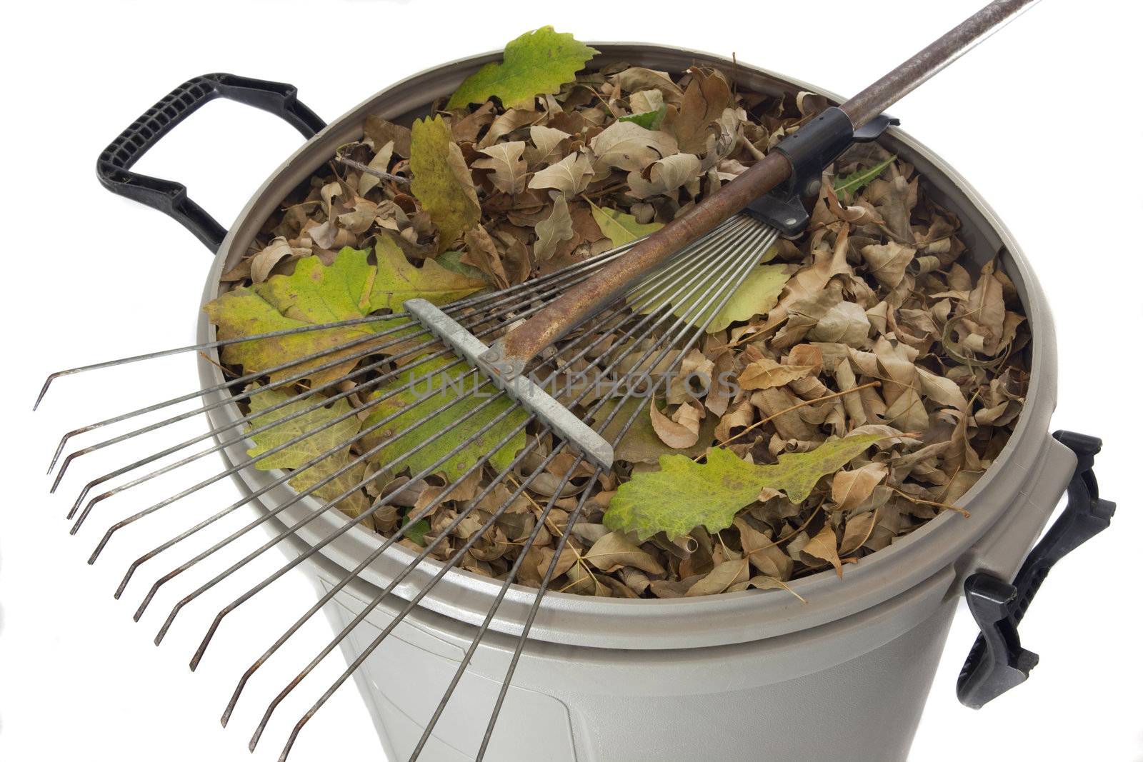 rake and dry leaves in garbage bin by PixelsAway