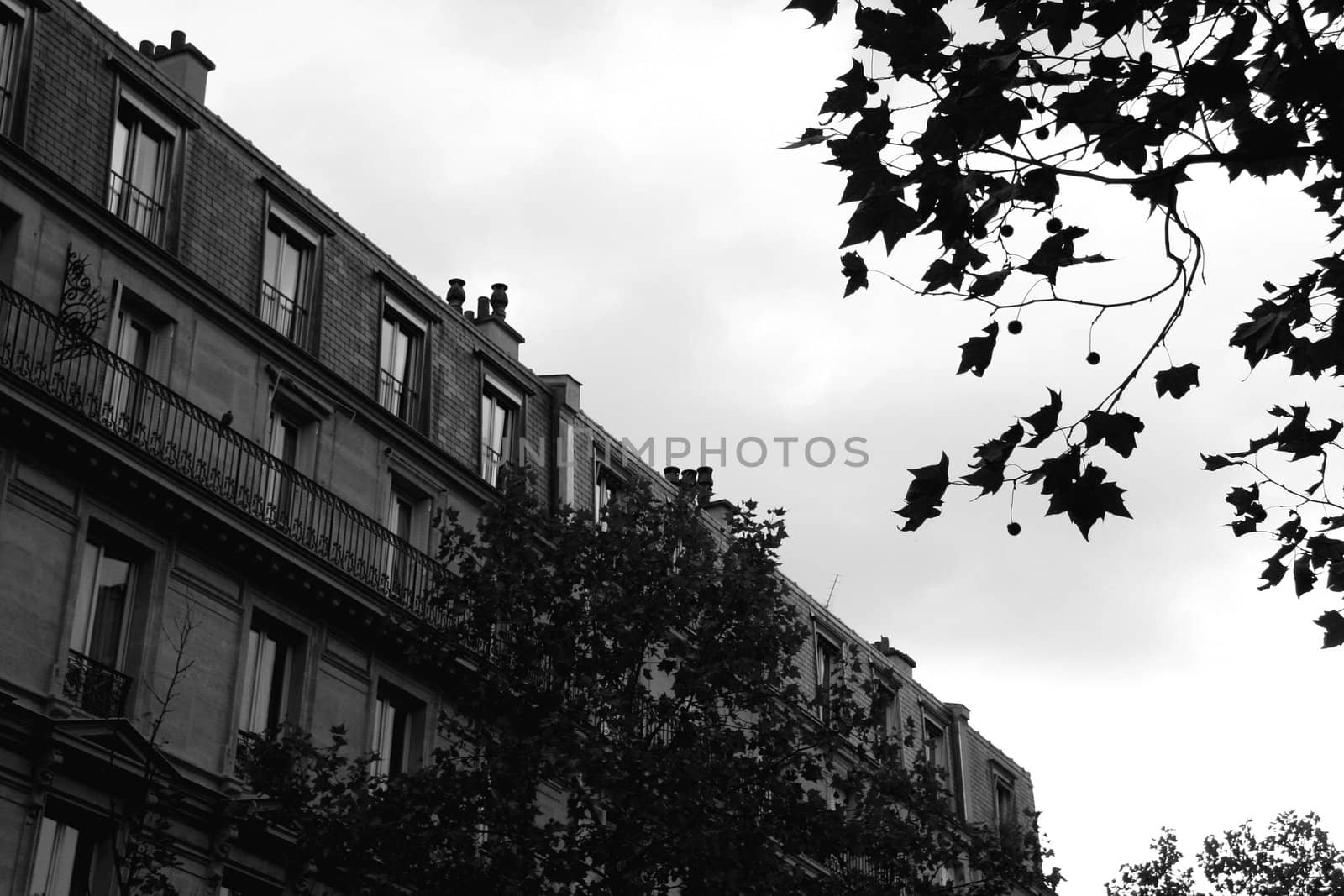 Houses on the streets of the capital of France - Paris. 