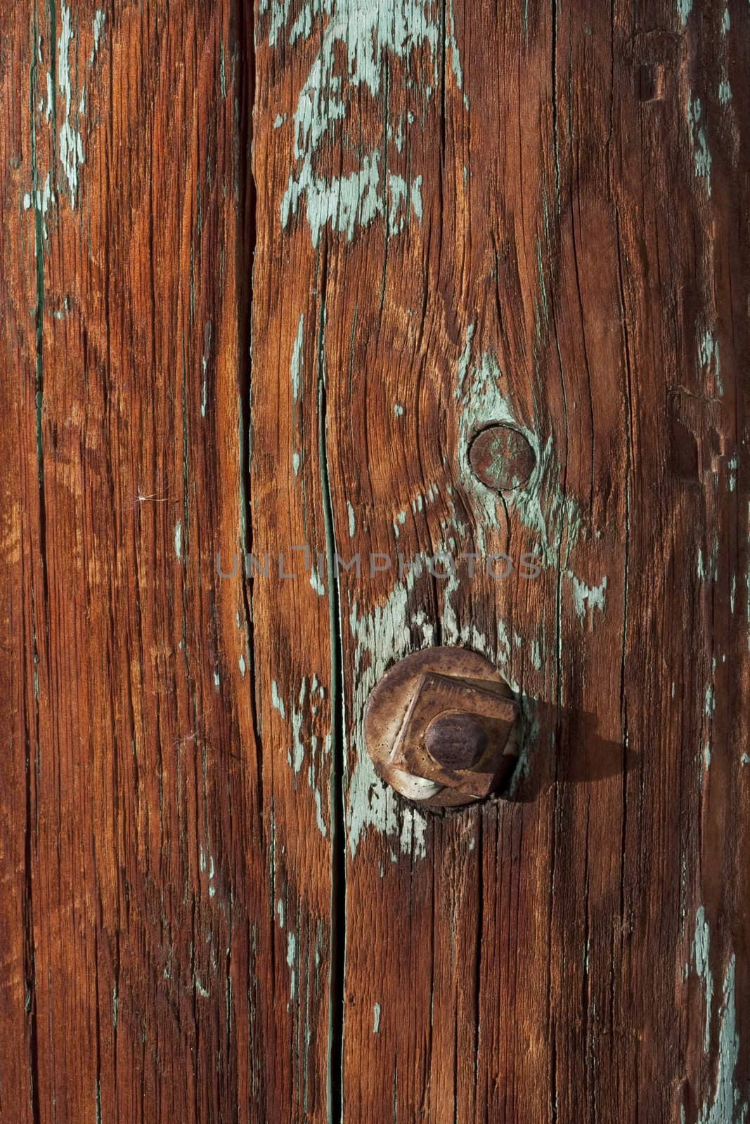 weathered wood of old barn post with knots, rusty bolt and traces of green paint