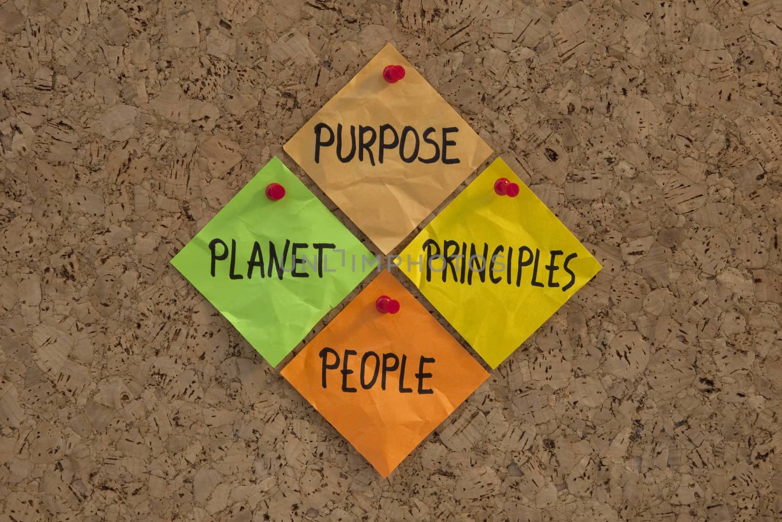 Purpose, People, Planet, Principles maxim by PixelsAway