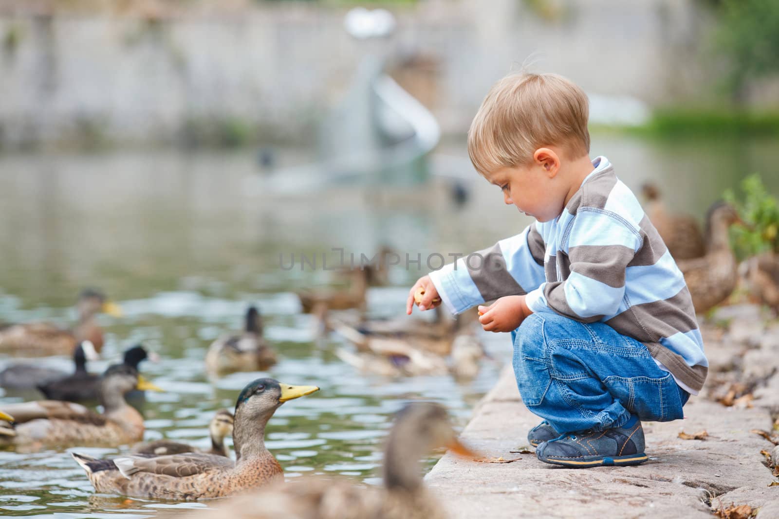 Cute little boy feeding ducks in the pond in a city park. Germany