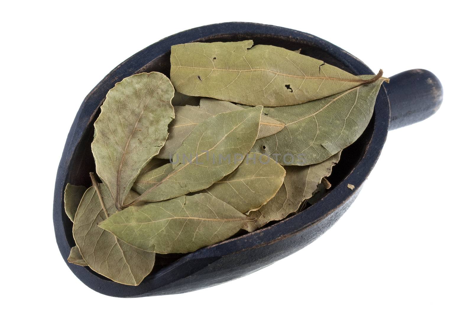 dried bay laurel leaves on a rustic wooden scoop isolated on white