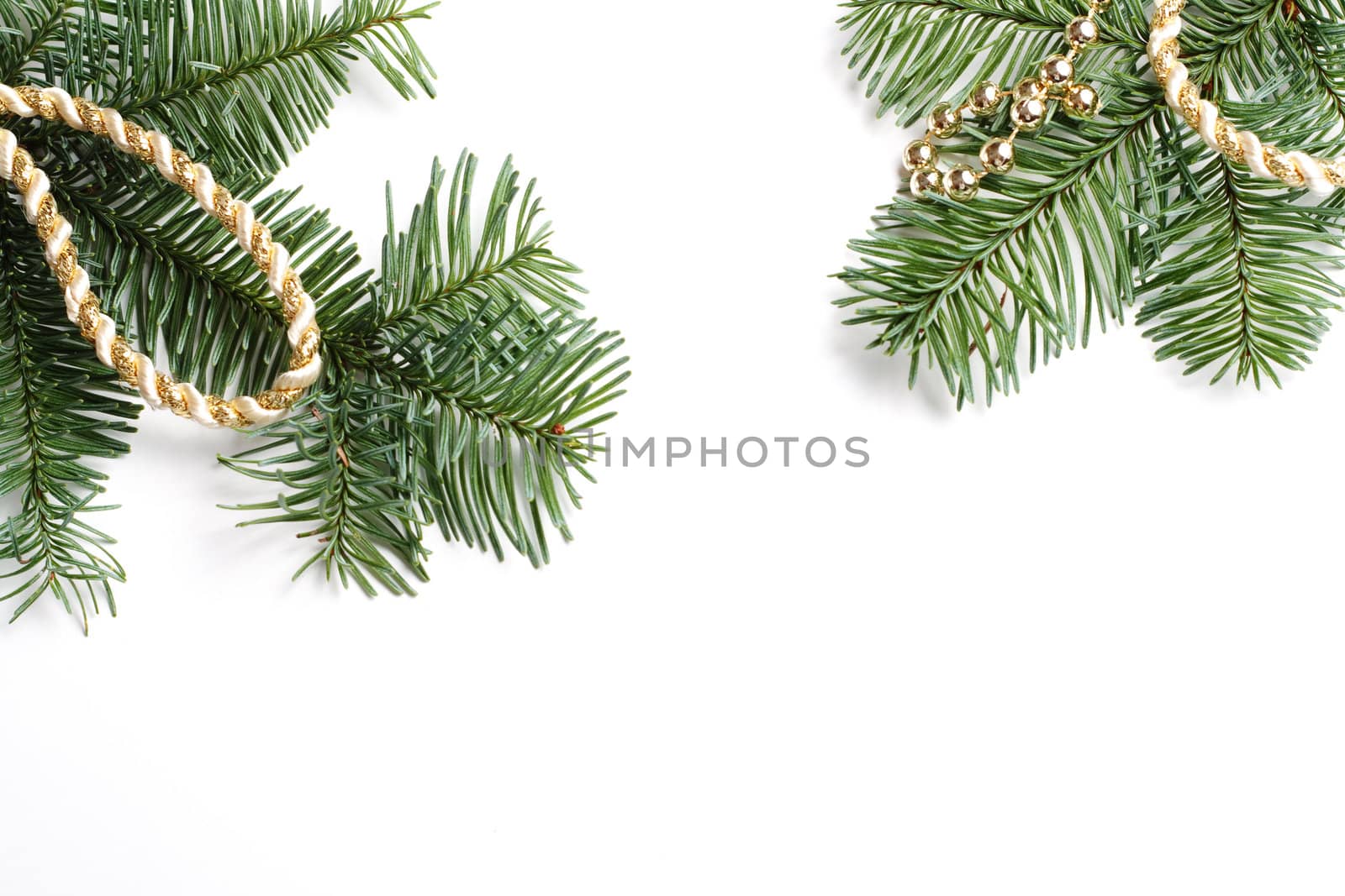 Frame of two fir branches at the corner isolated on white background