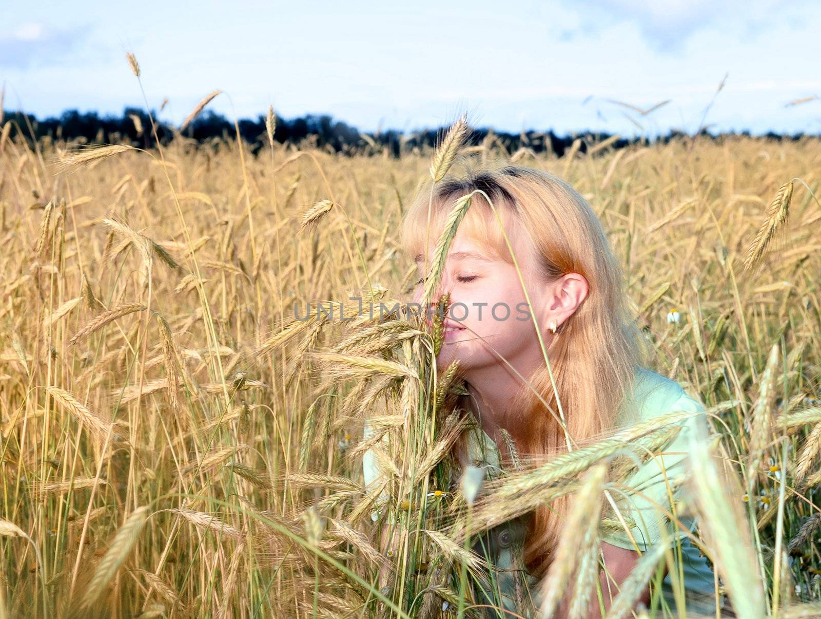 Sunny young beauty girl the field under blue sky