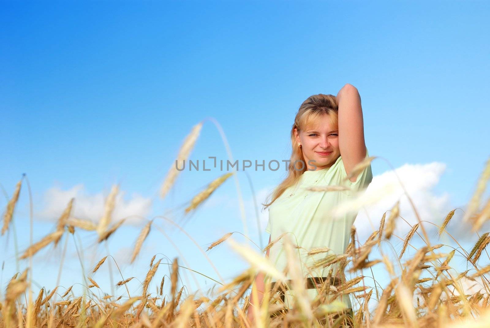 Sunny young beauty girl the field under blue sky