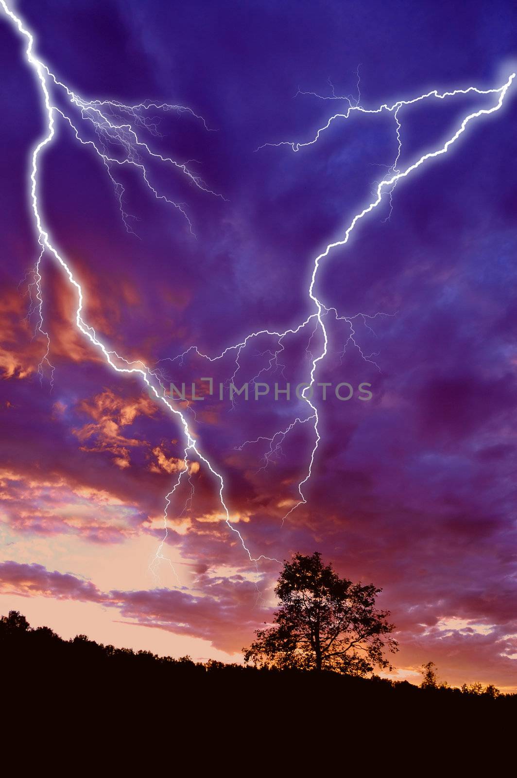 tree silhouette at sunset under dramatic sky with lightning