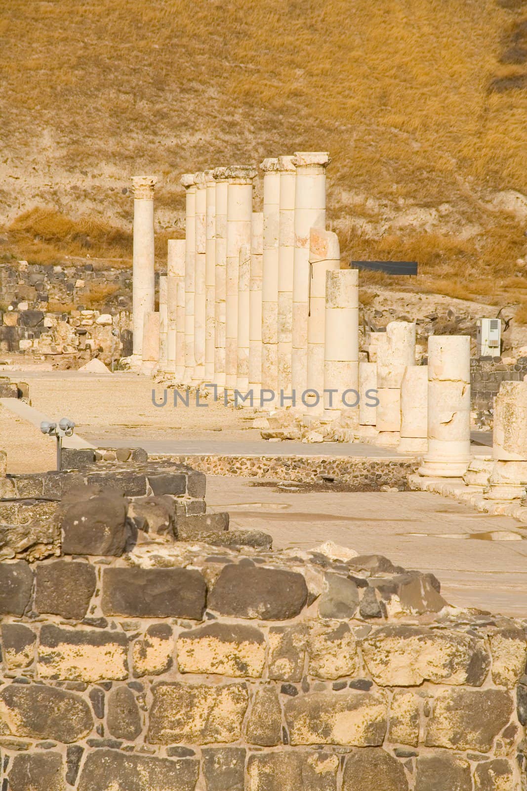 The ruins of the Roman city Scythopolis. Beit Shean. Israel