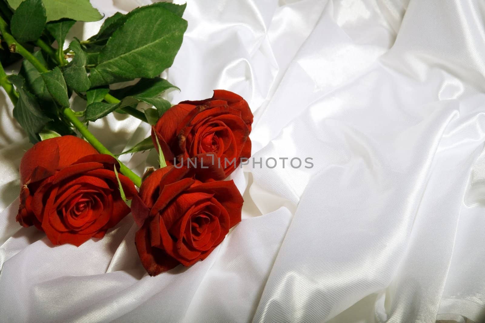 Red roses with green leaves among the folds of a white textured textile