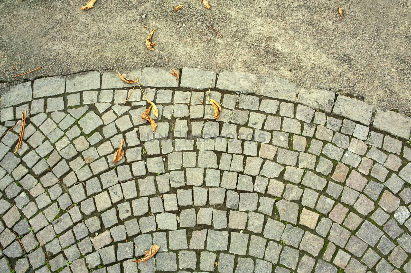 Pavement in the street