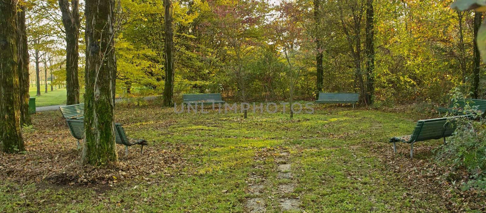 Picnic in the park, outing in the wood