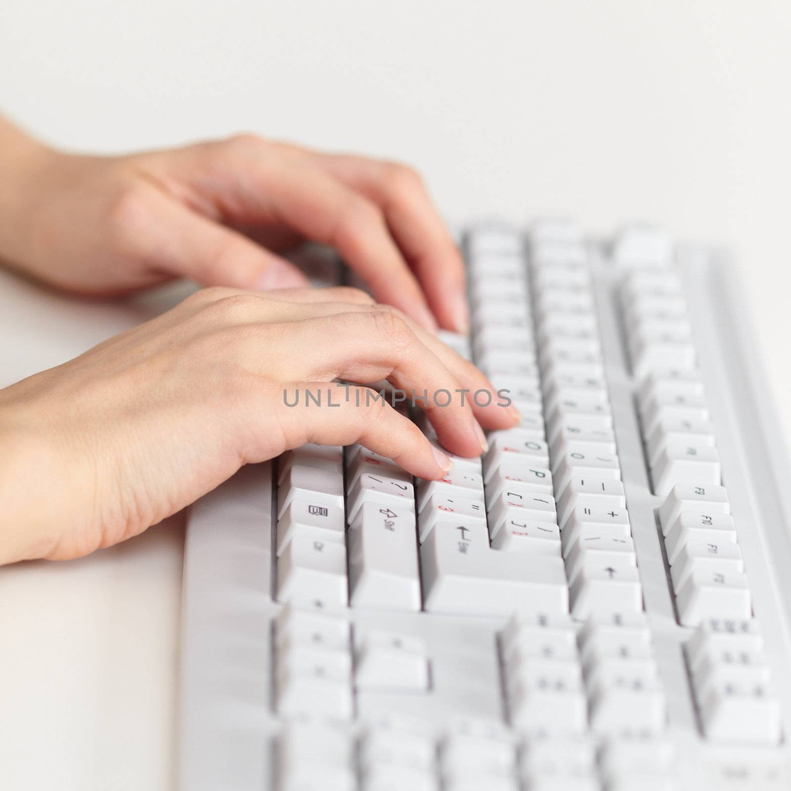 Female hands work on the computer keyboard close up
