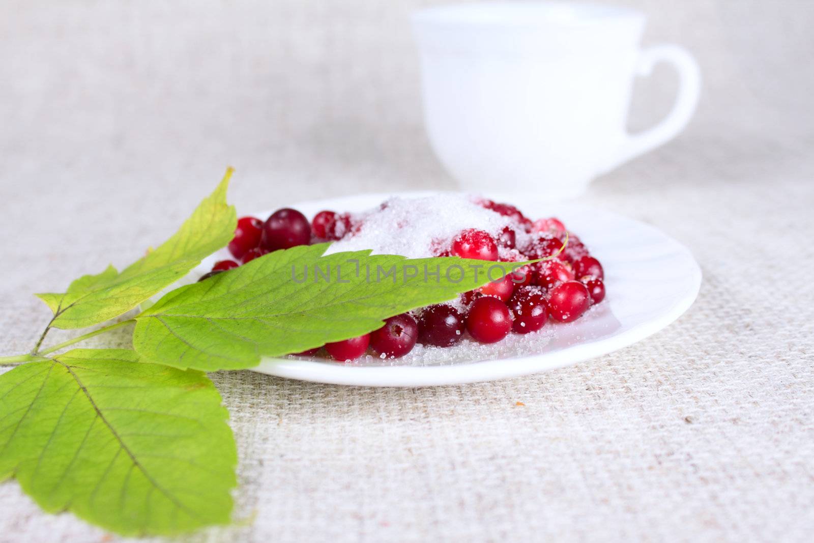 Cowberry in sugar with green sheet against a mug removed close up