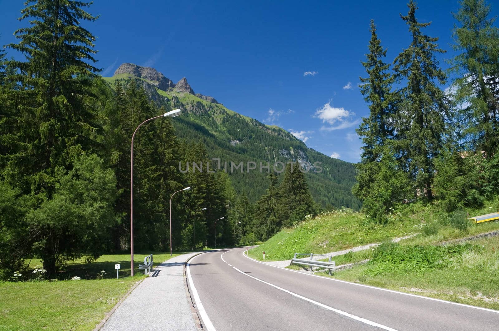 beautiful road between trees and mountains on background in italian alps