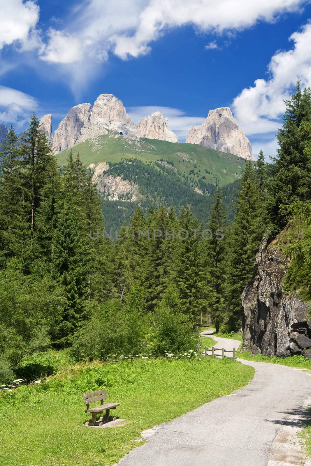 summer view of Fassa valley, Trentino, Italy,  with a small road along the river. On the background the Sassolungo mountain