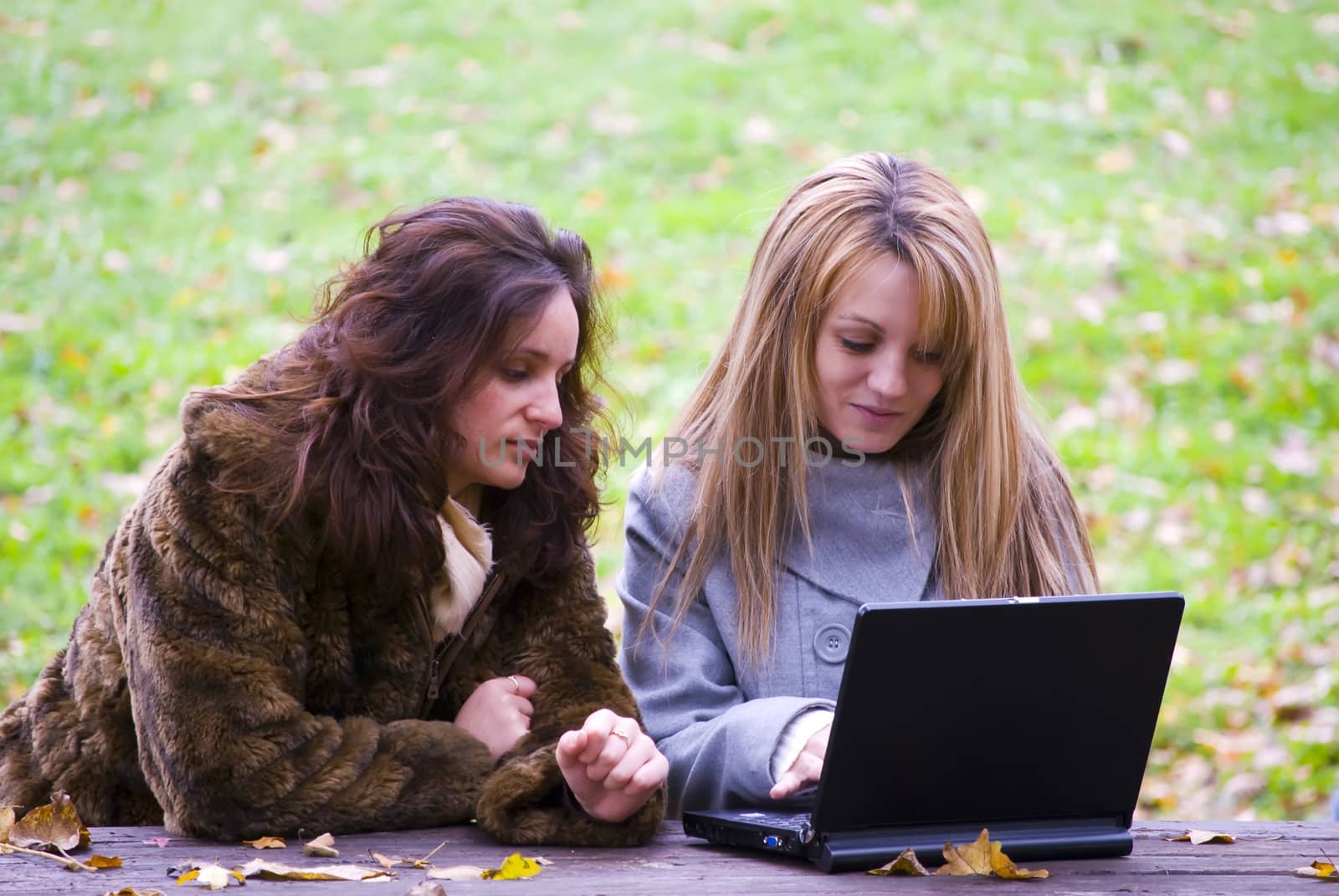 two students working out on laptop in autumn