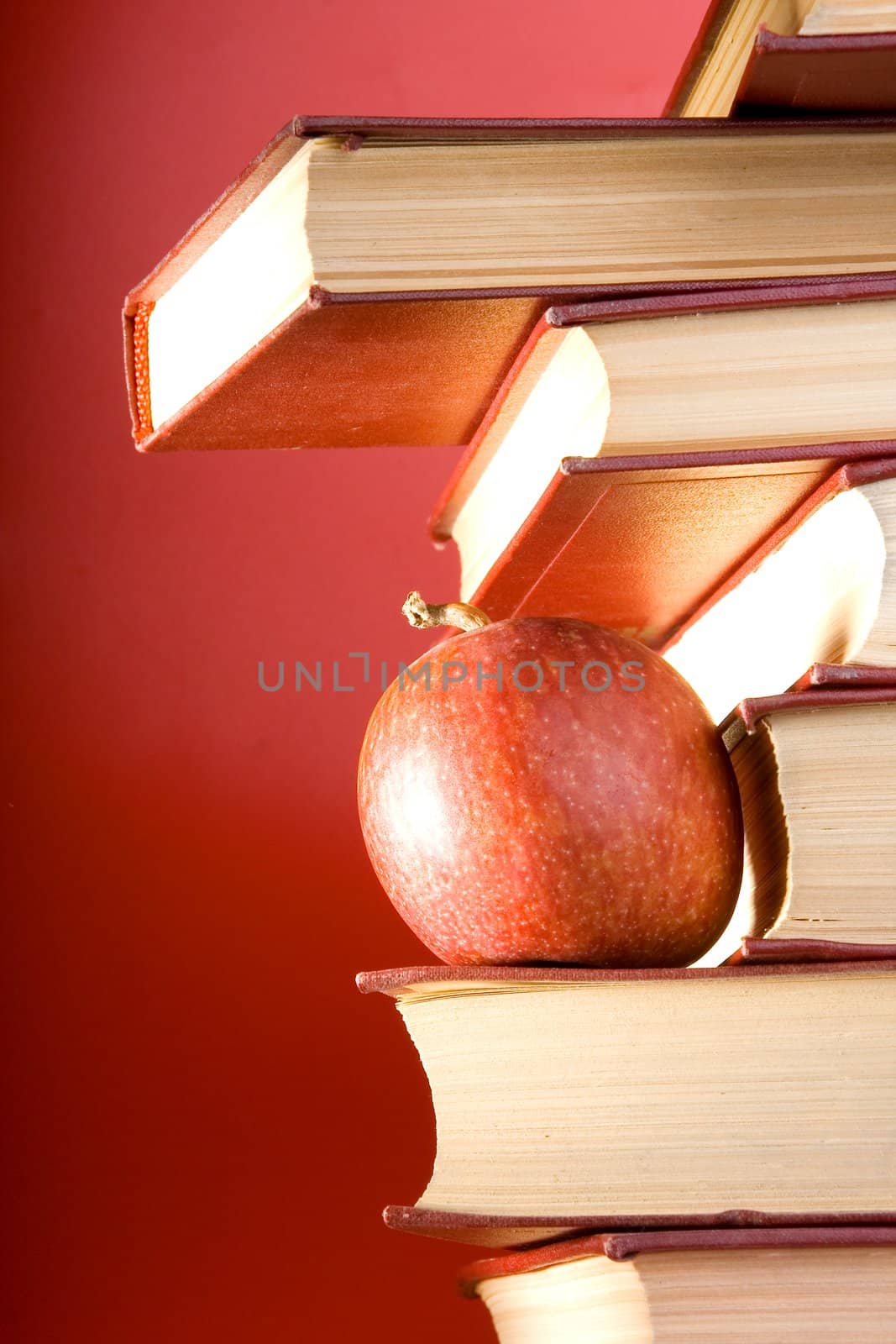 The Red Books by Vladimir