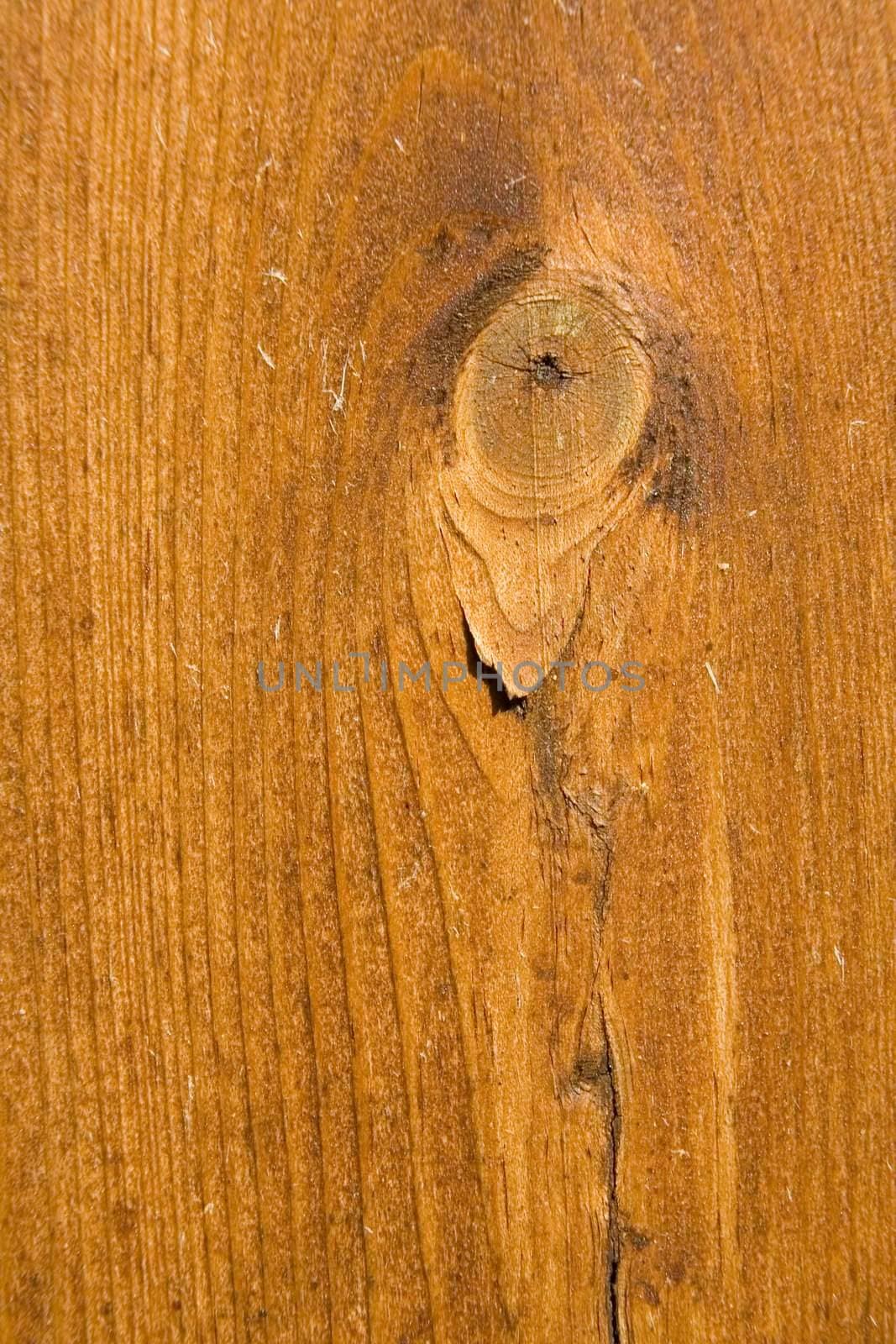 Wooden weathered board by Vladimir