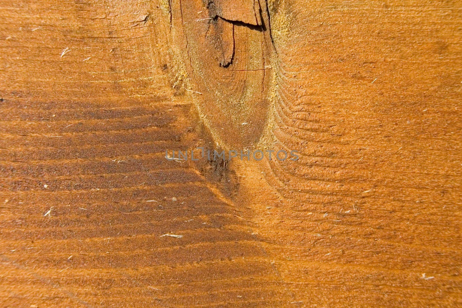 Wooden weathered board by Vladimir