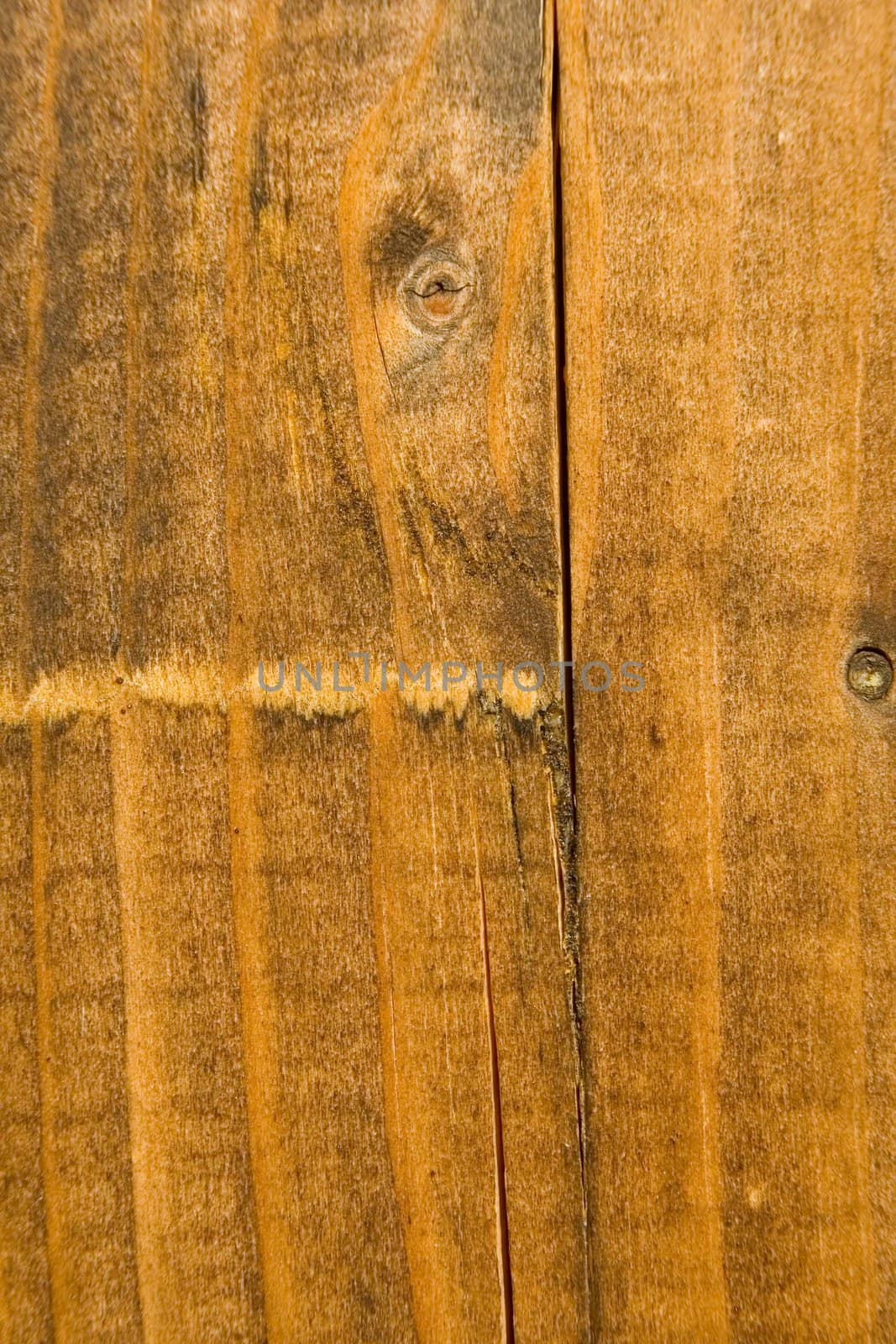 Closeup of texture of wooden weathered board