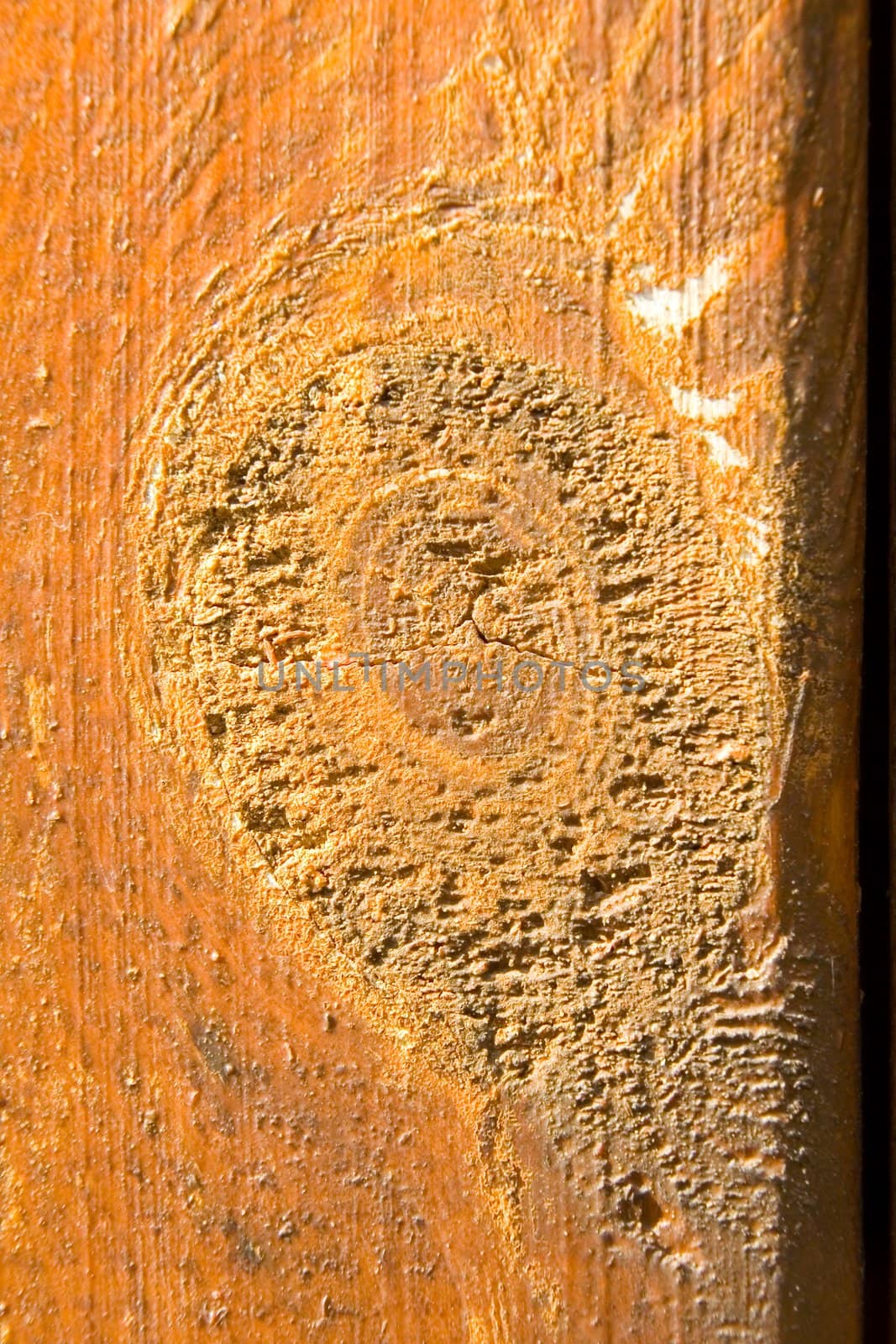 Closeup of texture of wooden weathered board 