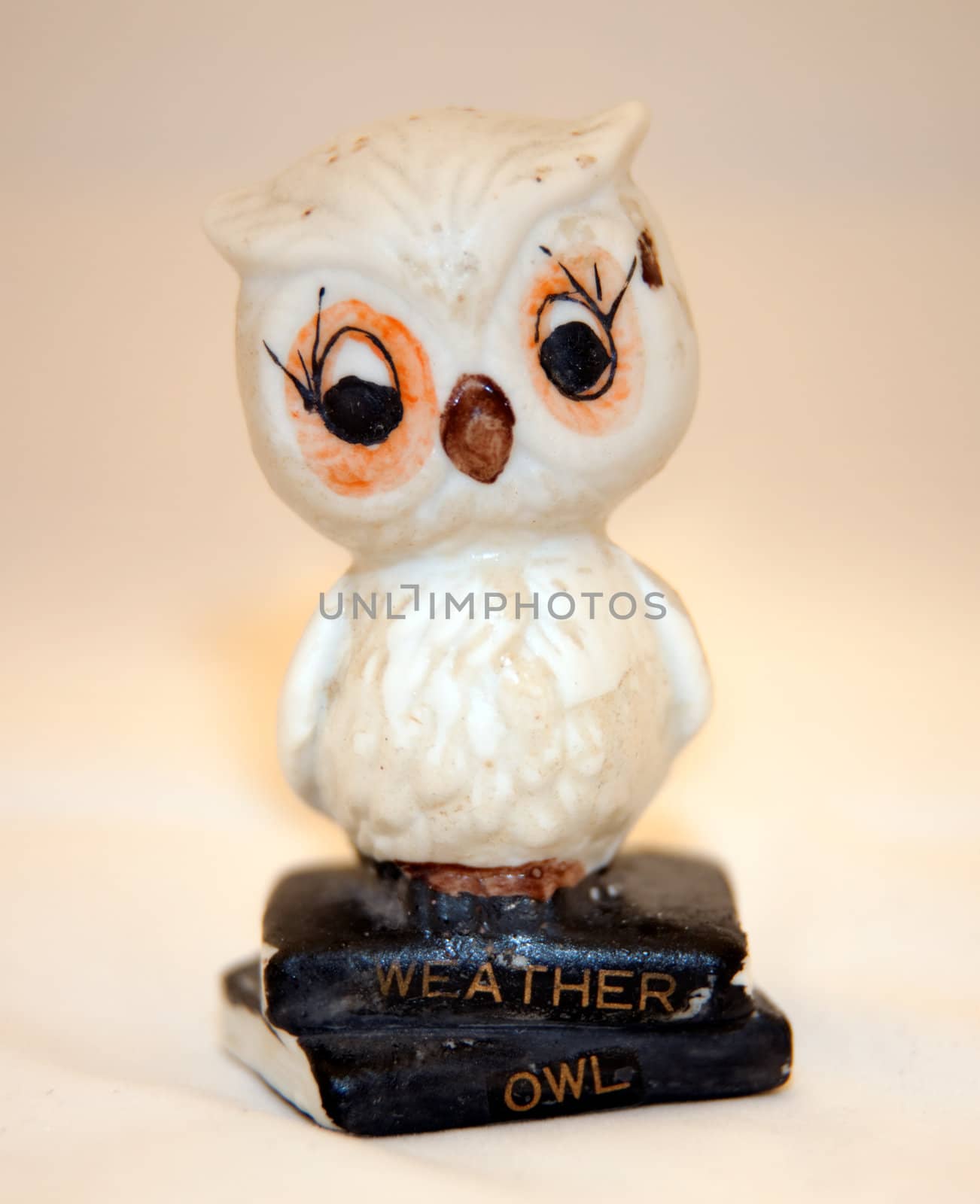 Weather Owl by monkeystock