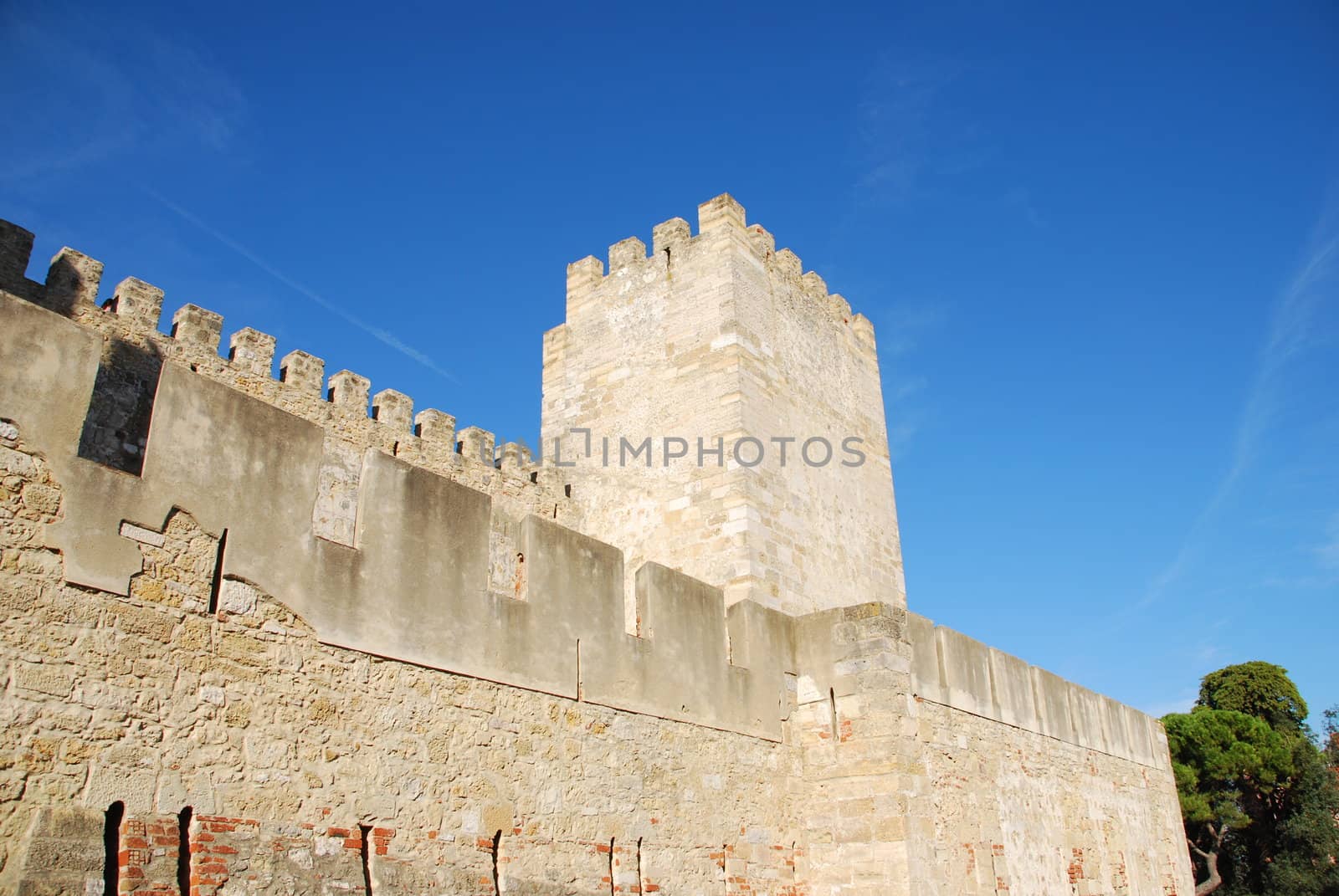 Sao Jorge Castle in Lisbon, Portugal by luissantos84