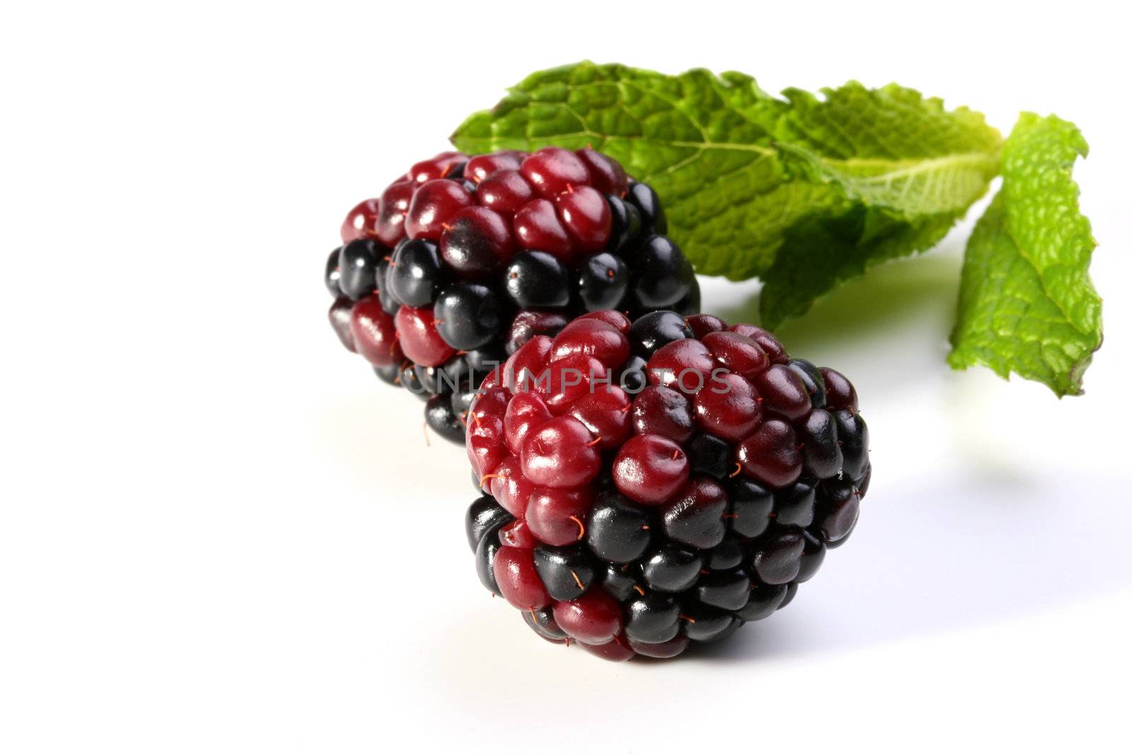 Two berries of a blackberry with green leaves of mint.