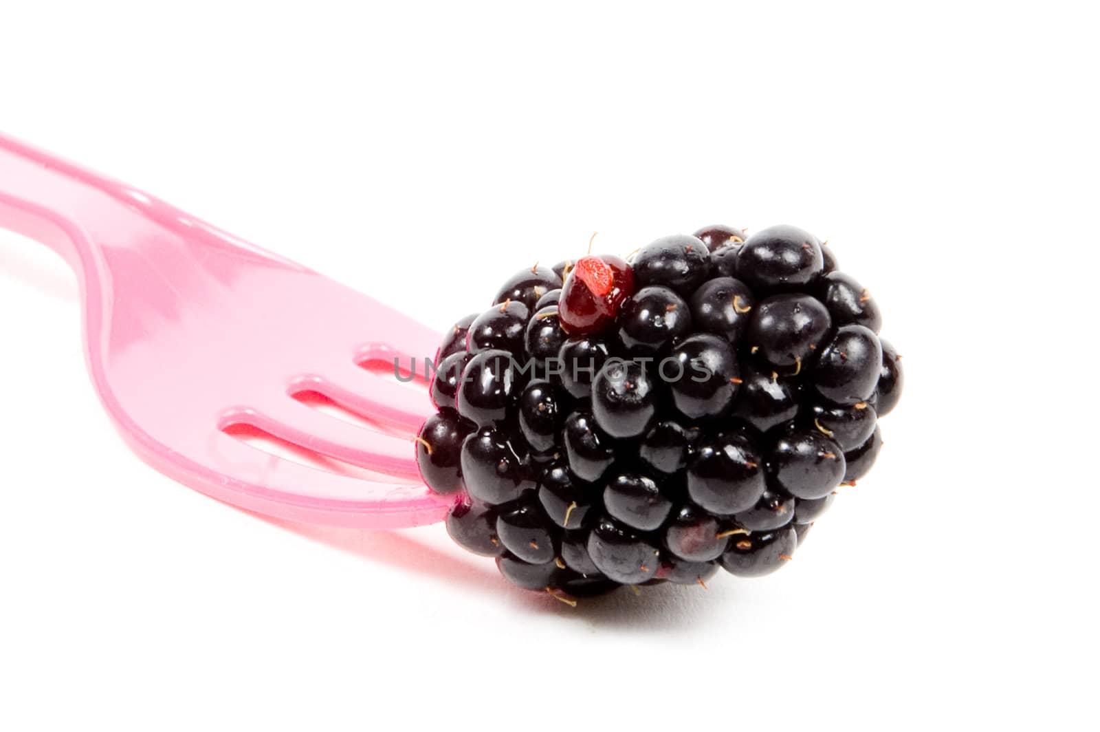 fresh juicy blackberrie on a pink fork by ladyminnie