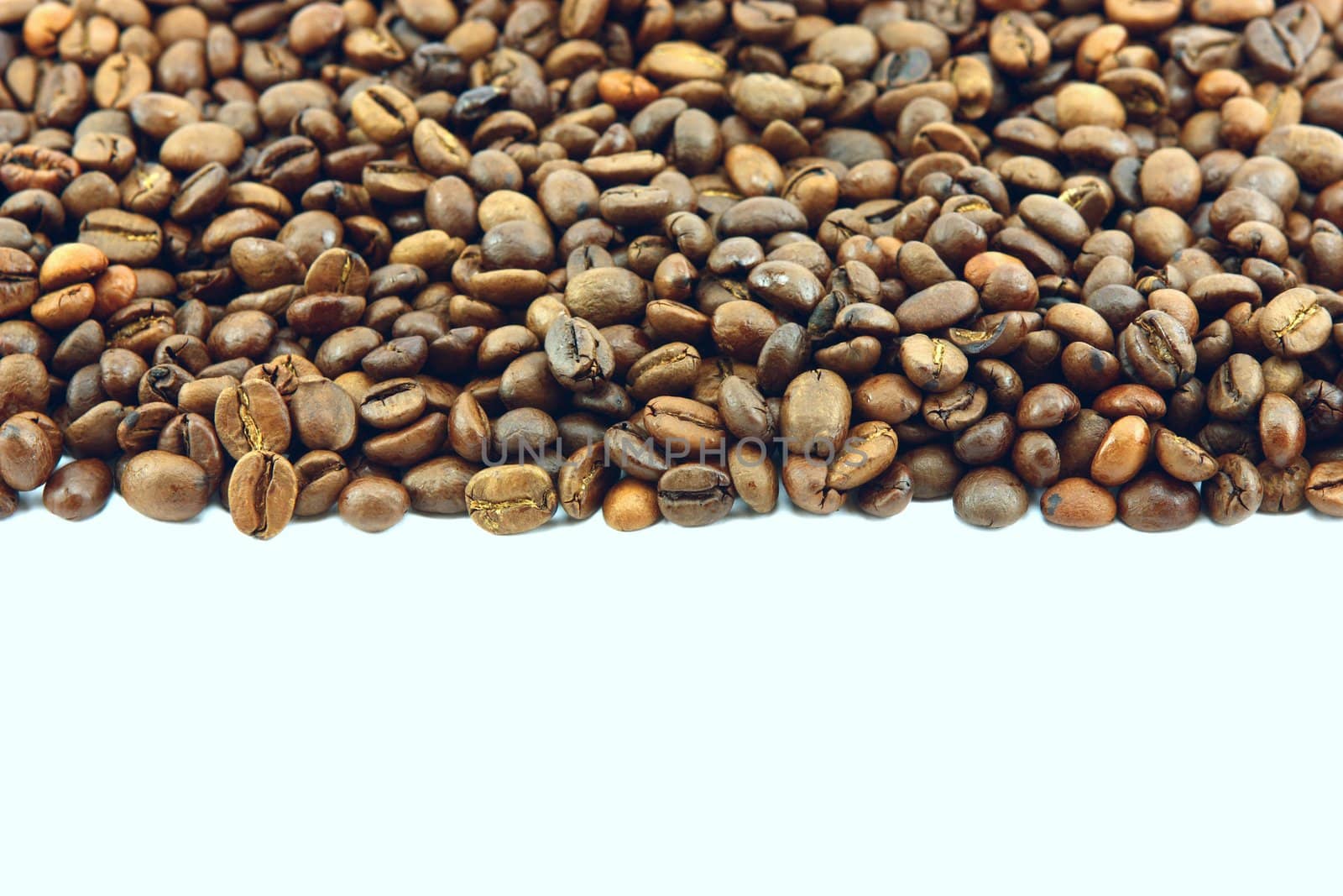 Coffee beans on white background