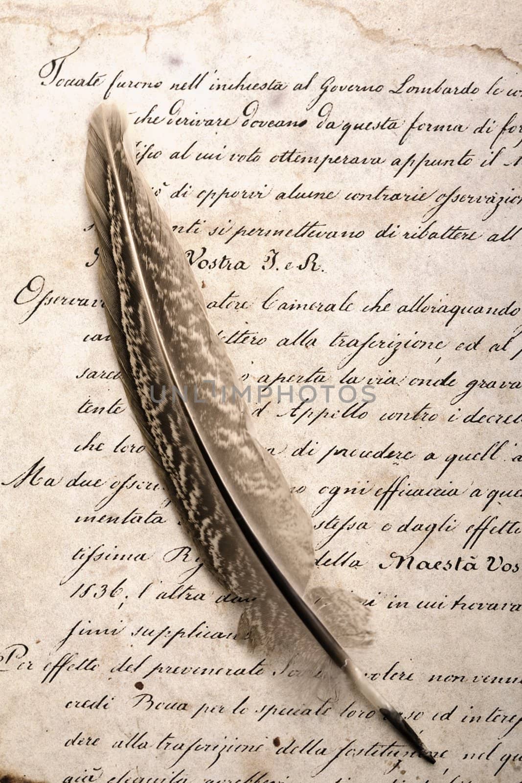 A beautiful old feather on an old letter