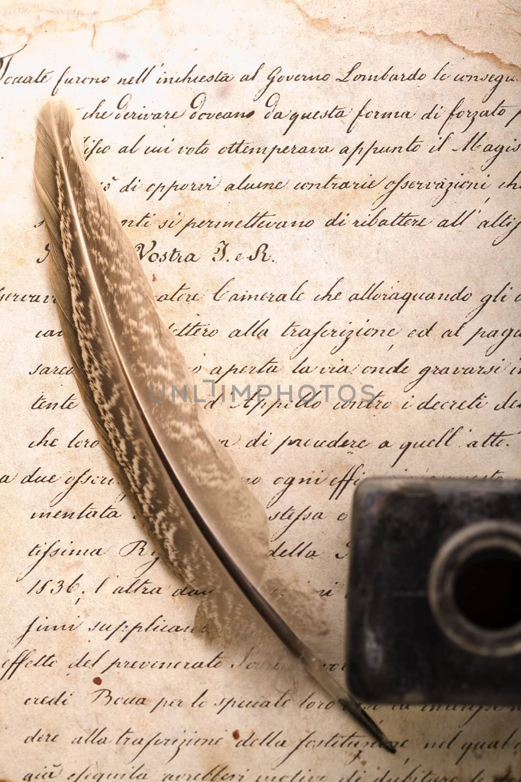 A beautiful old feather on an old letter