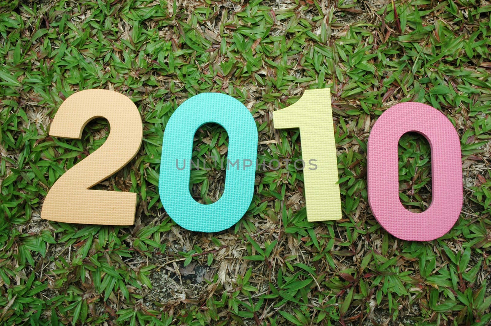 Colorful textured new year 2010 on green grass background