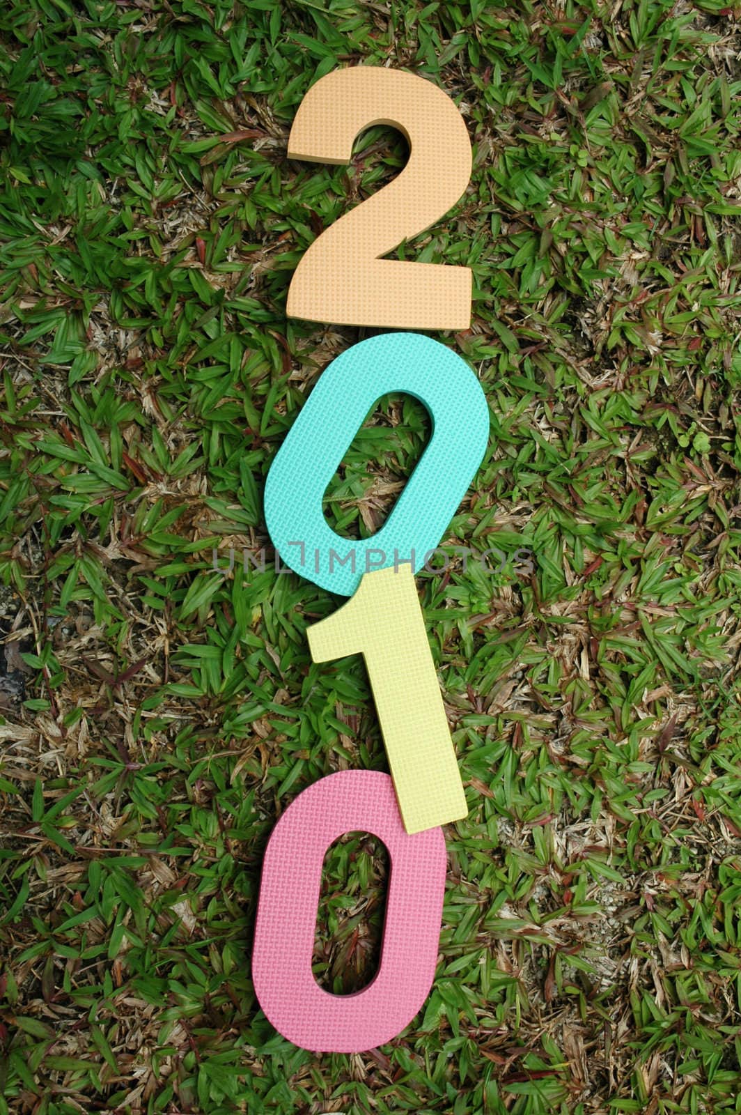 Colorful textured new year 2010 on green grass background