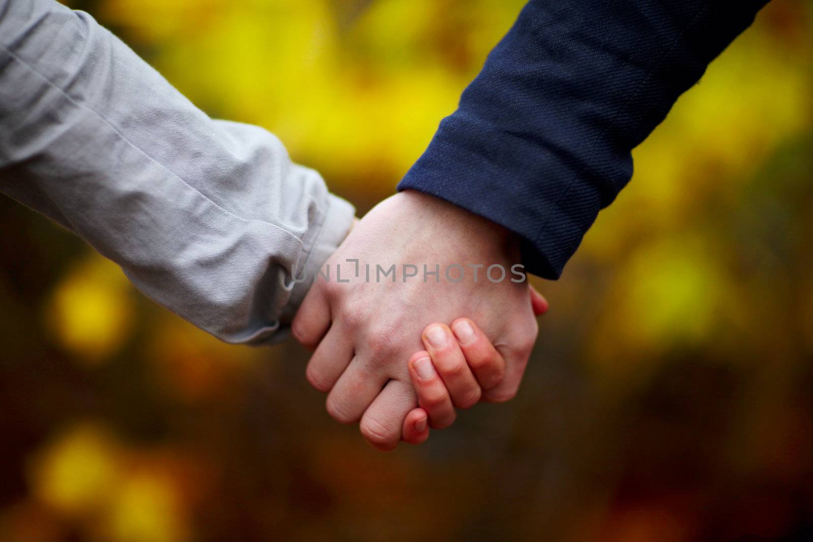 Love - Couple holding hands in fall 