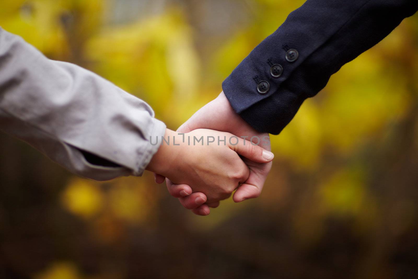 Romance - Couple holding hands in fall by FreedomImage