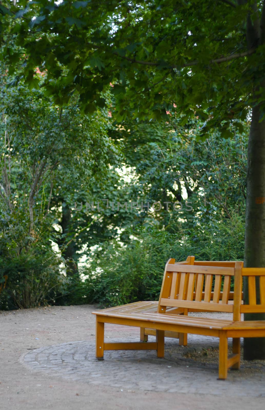 Bench in a beautiful park in eastern europe.