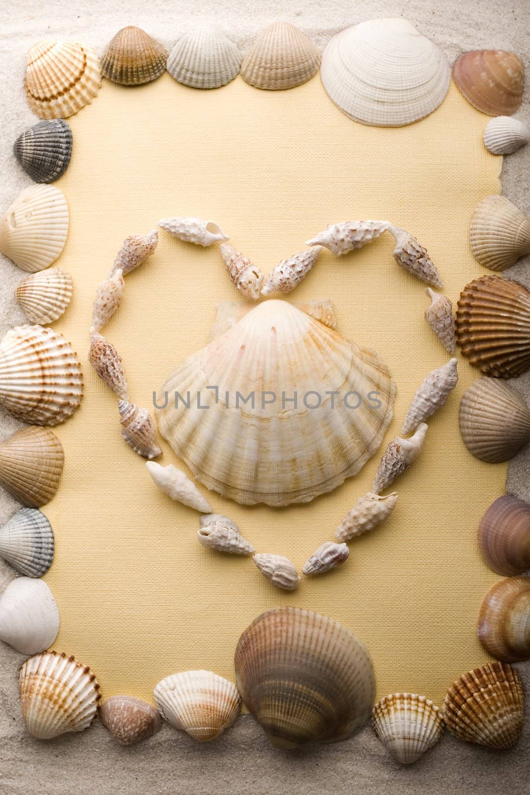 Old yellow paper and shell on sand