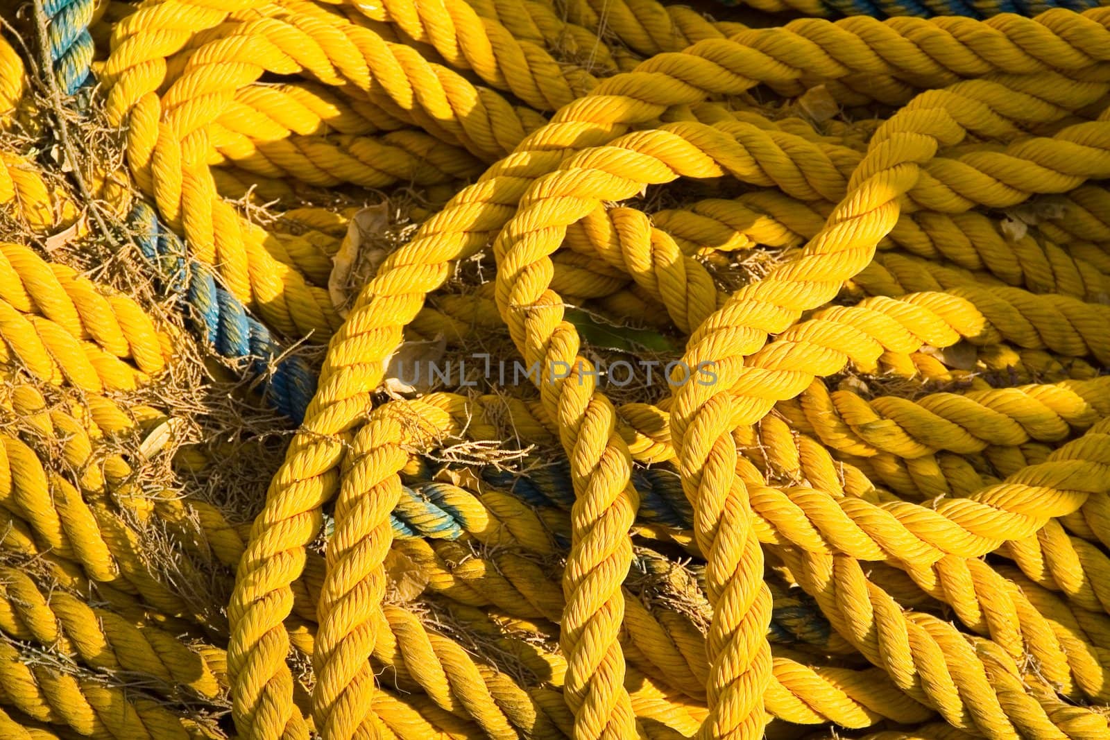 yellow rope by Vladimir