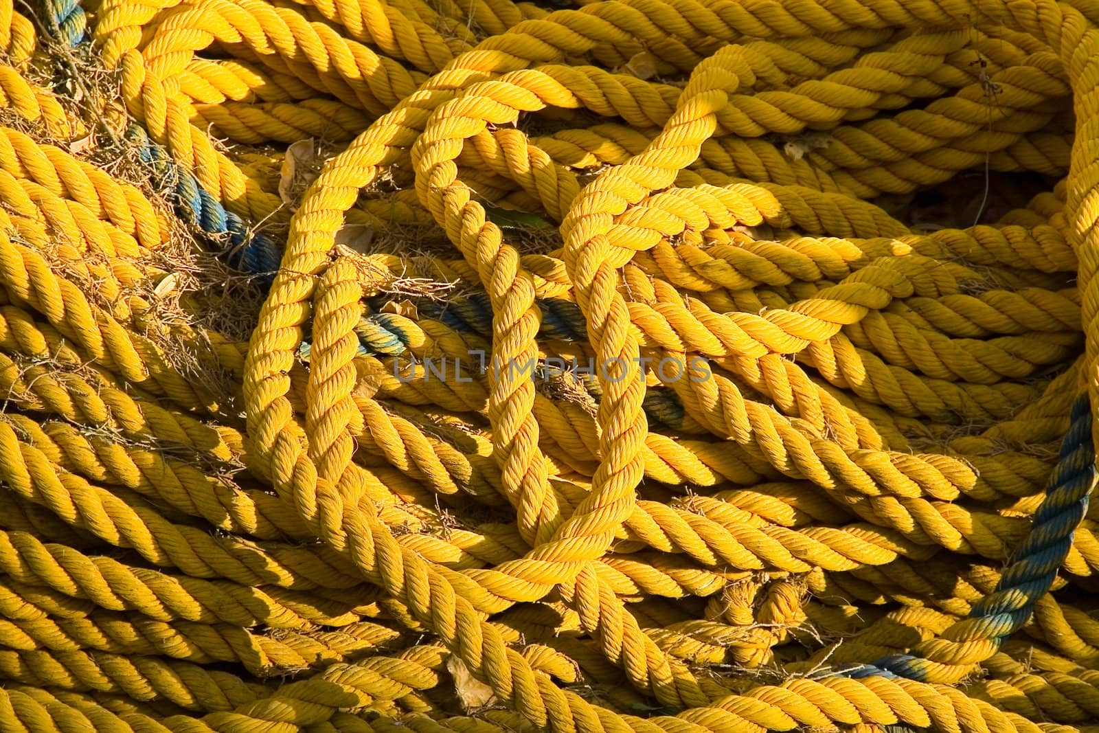 yellow rope decomposed outdoor to dry