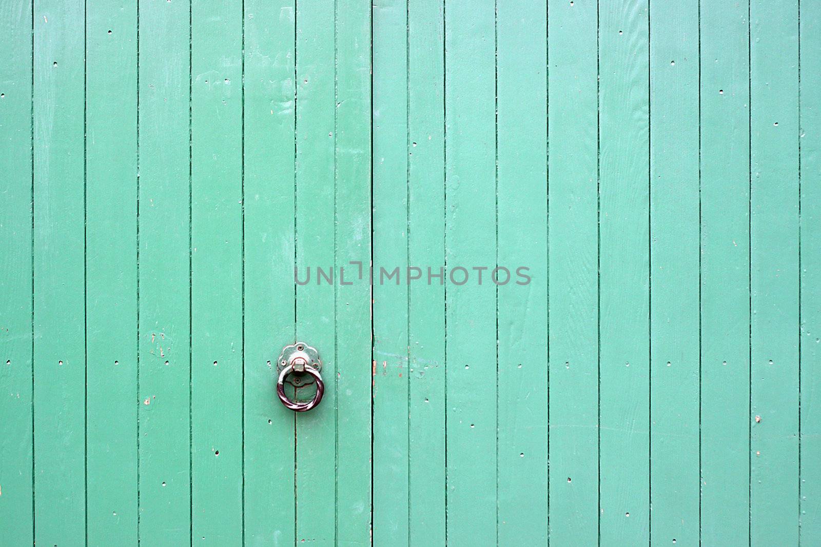 Large Green Wooden Gates with Metal Handle by Cloudia