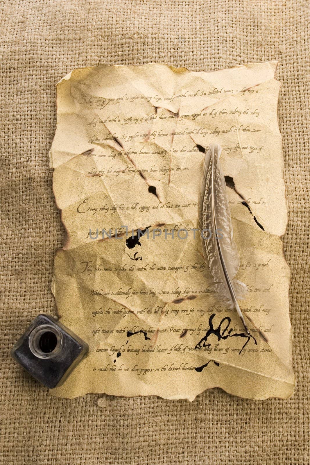 A beautiful old feather on an old letter by shiffti