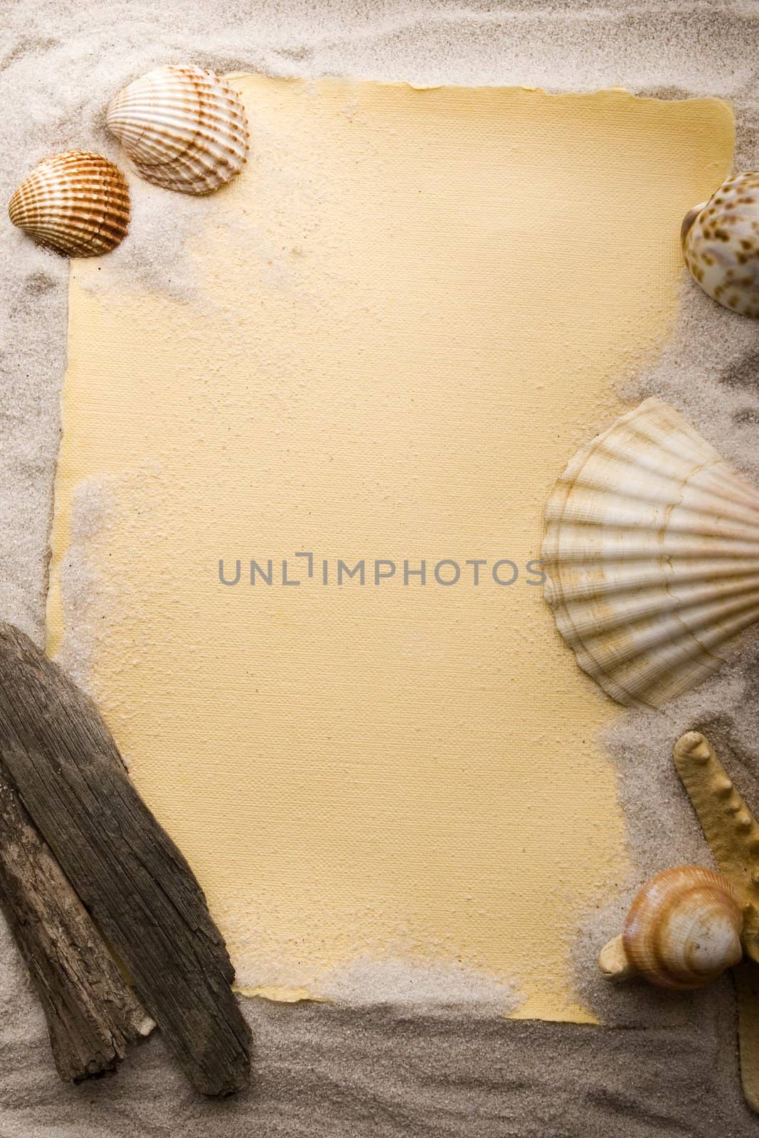 Old yellow paper and shell on sand by shiffti