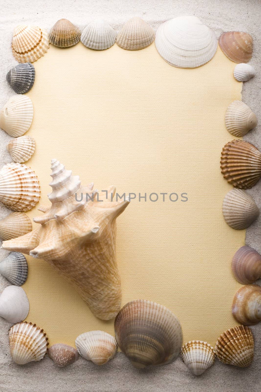 Old yellow paper and shell on sand