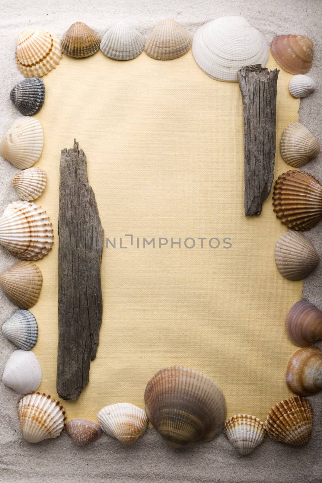 Old yellow paper and shell on sand by shiffti