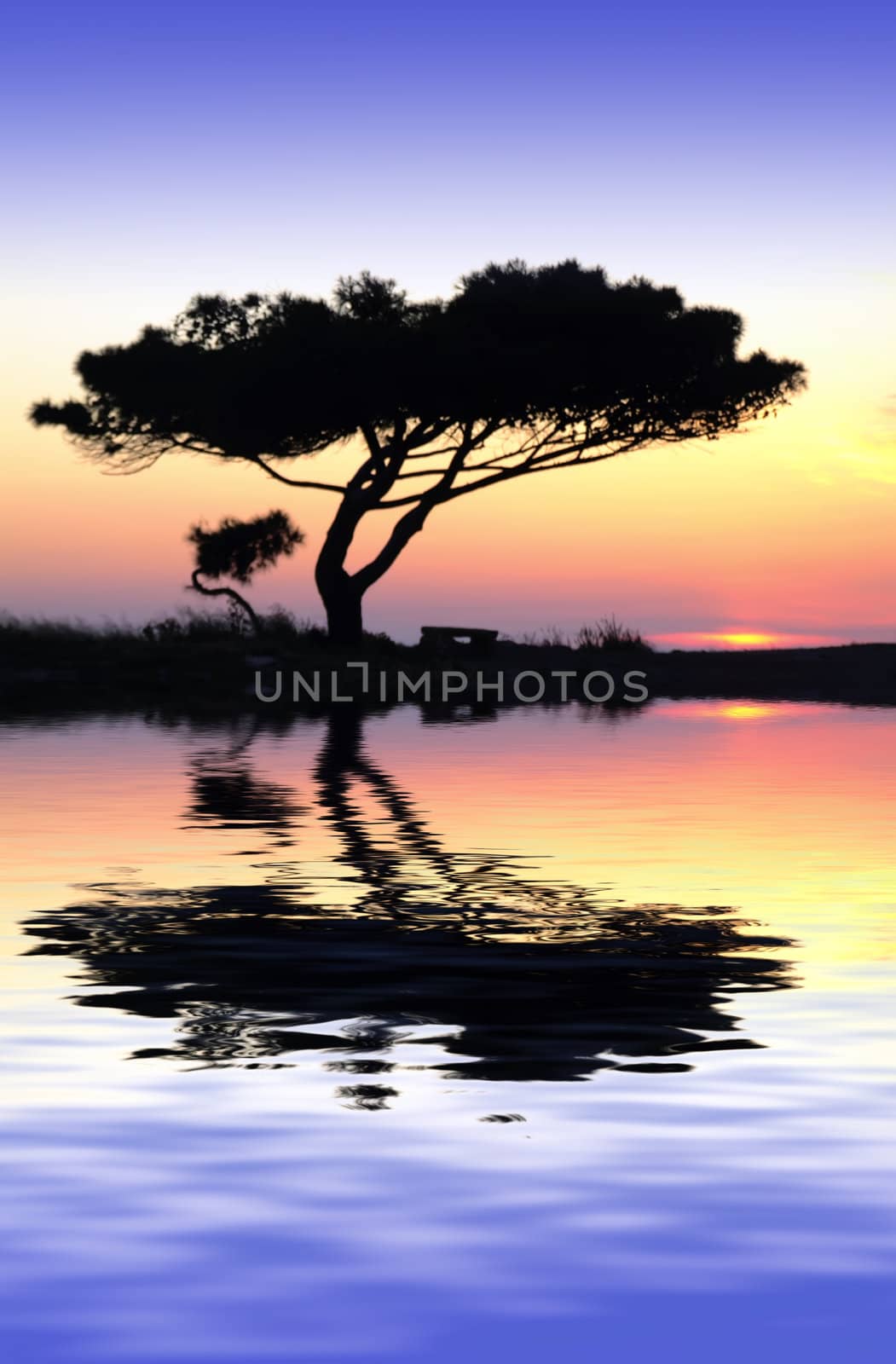 Tranquility at Water's Edge by PhotoWorks