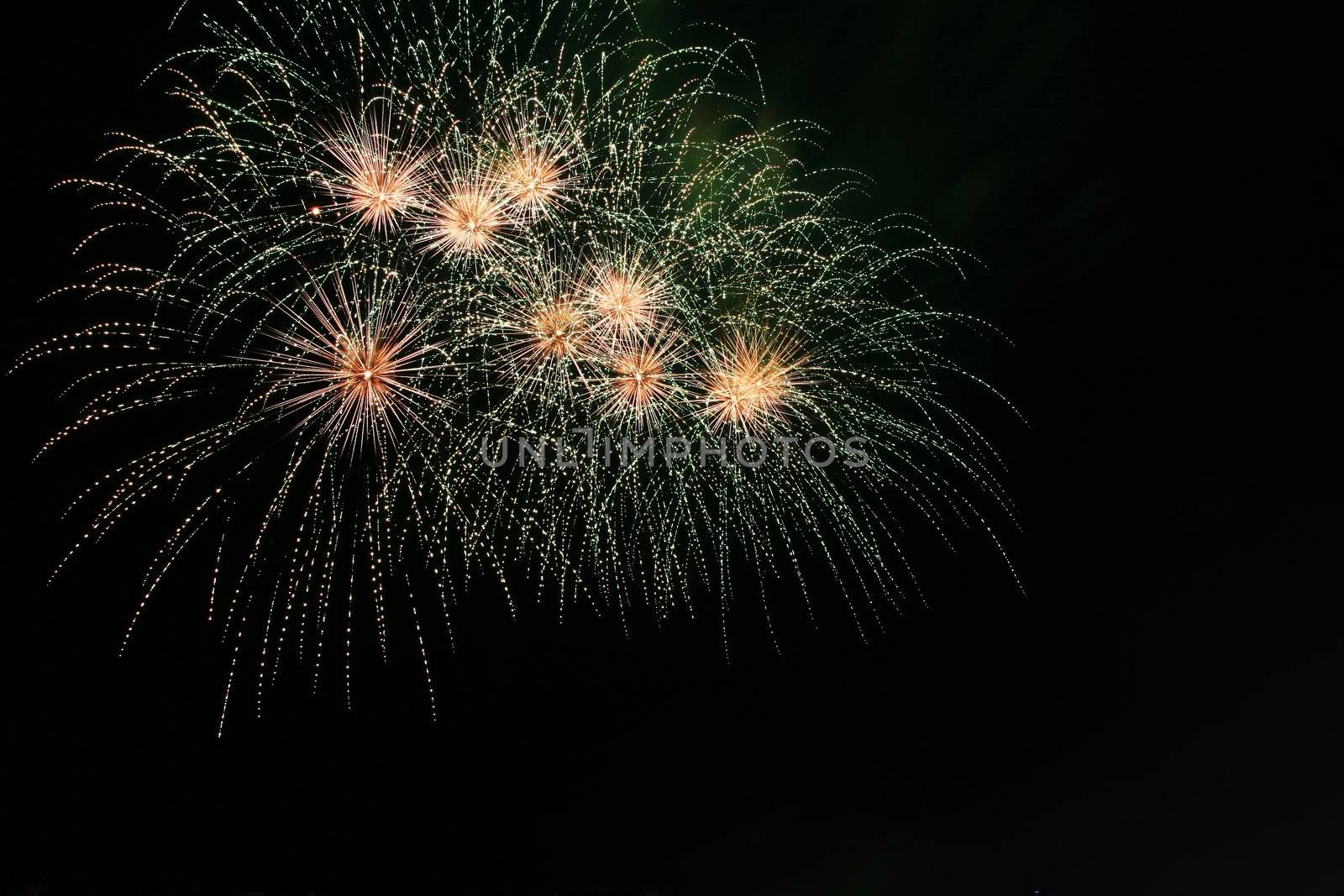 sea urchin fireworks against the dark sky
